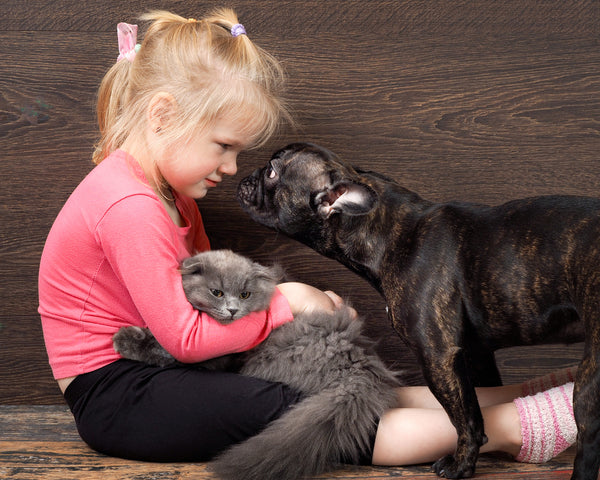 Household Pets Allergy: How to Cope if You Are Allergic to Dogs and Cats